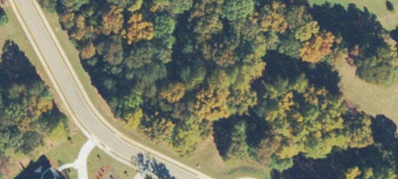 Heavily Wooded Lot in Community