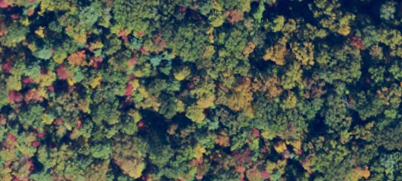 Mountain Acreage Near Pisgah Forest