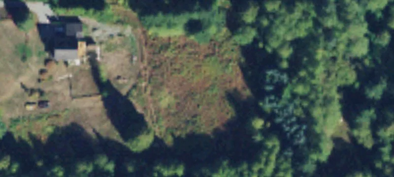 Arlington Acreage for Custom Estate