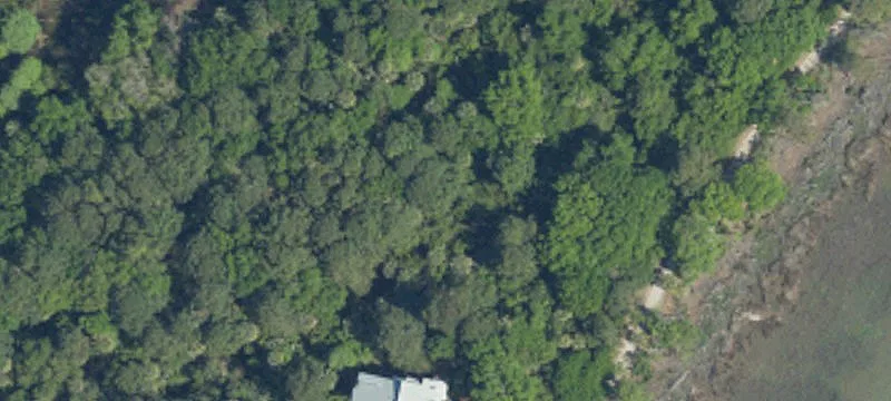 Dewees Island Waterfront Homesite