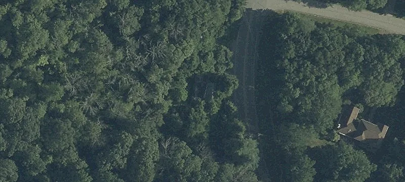 Residential Land in Quiet Neighborhood