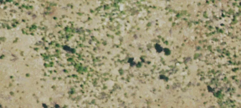 Foothills Ranch Build Site