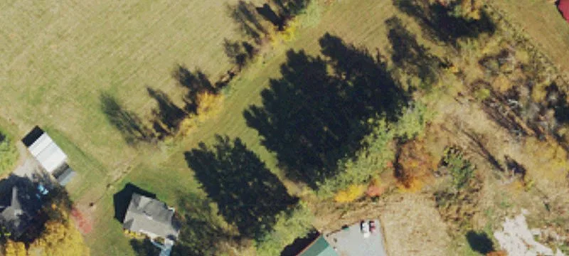 Residential Lot in Alleghany Manor