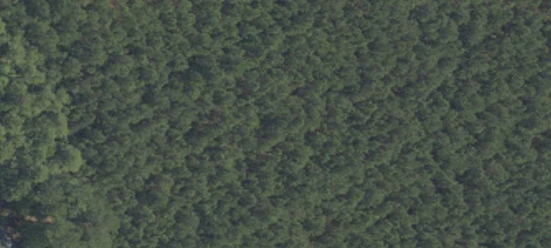Okatie Homesite with Development Potential