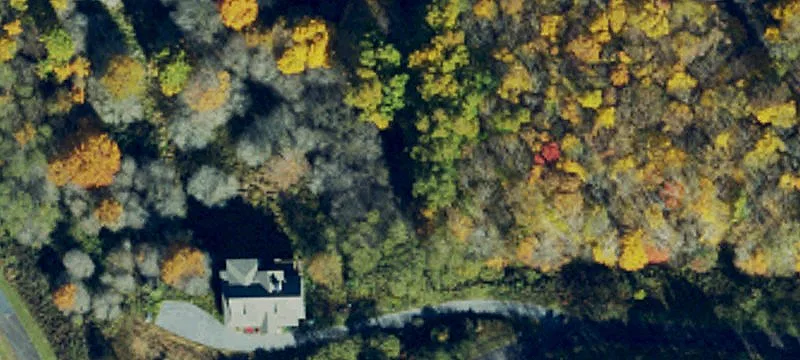 Sunalei Forest Estate Homesite