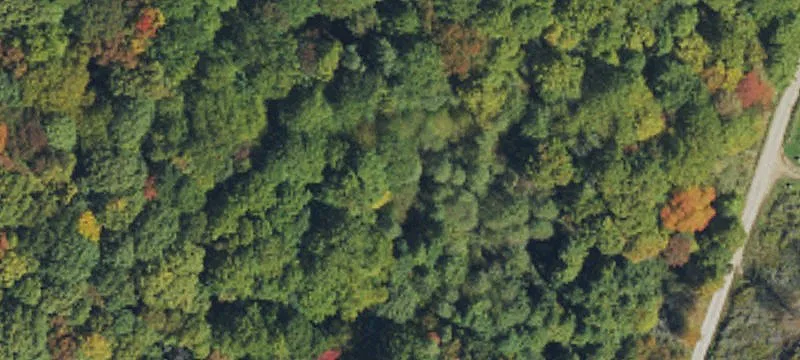 Unrestricted Mountain Land Parcel