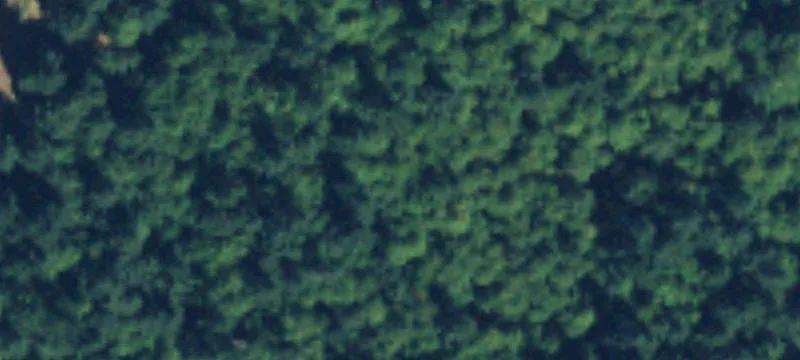 27-Acre Thurston County Parcel