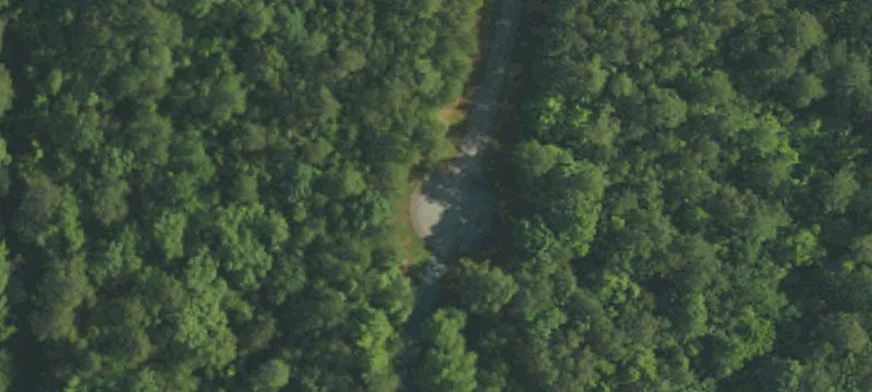 Wooded Lot Near Blewett Falls