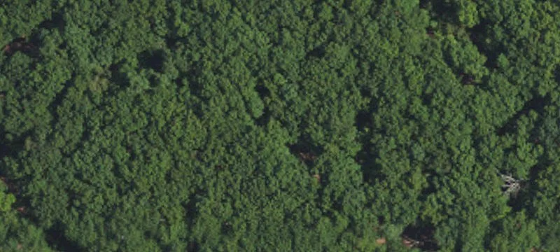 Mountainous Lot in Springs Subdivision