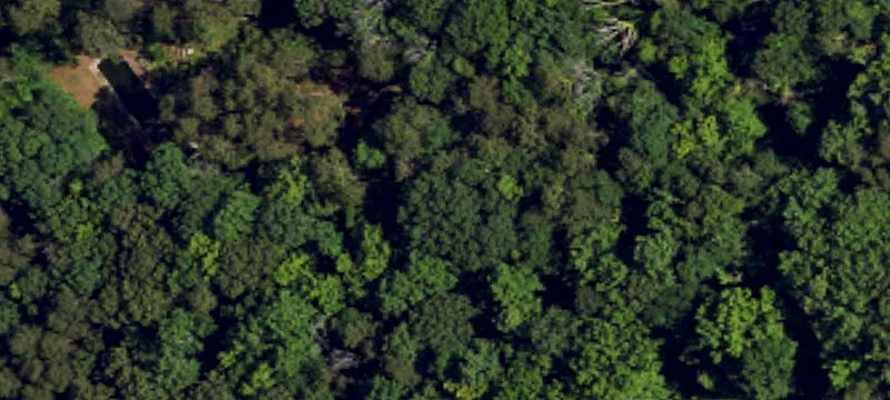 7+ Acres Overlooking Oak Hollow