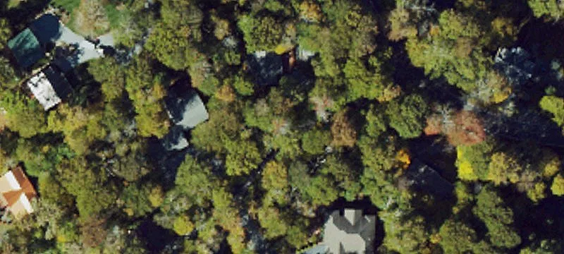 Cleared Land on Sugar Mountain
