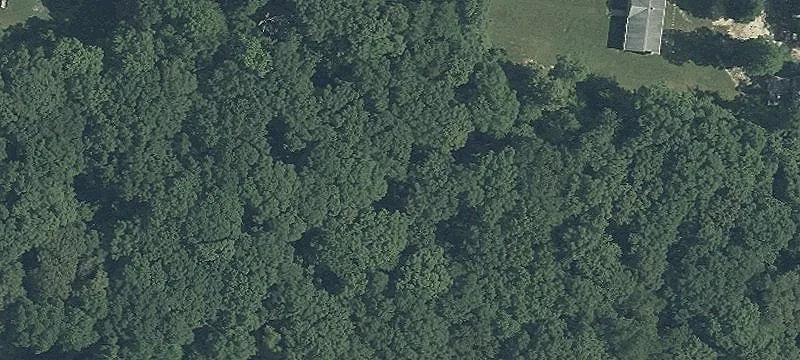 7.3 Acres Wooded Lot