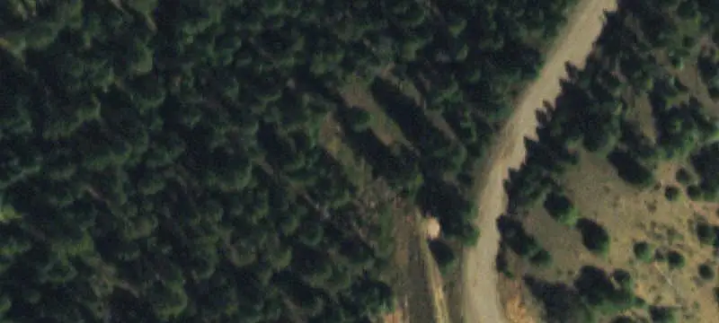 Conifer Land with Mountain Views