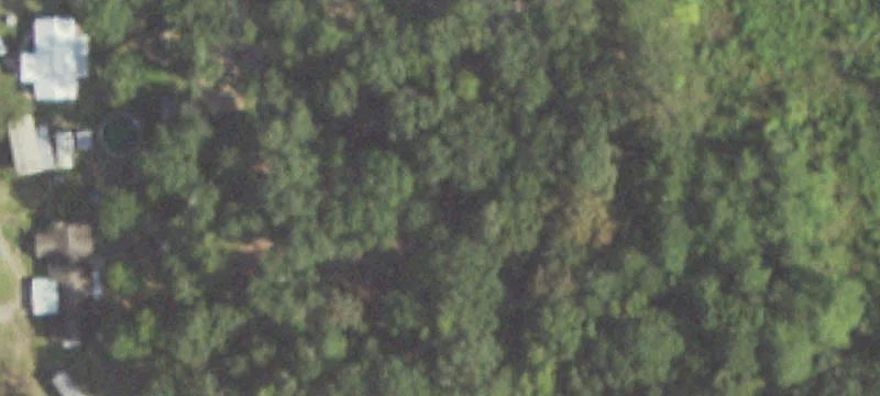 Partially Cleared Acreage For Sale