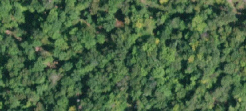 96.97 Acres Near Great Sacandaga
