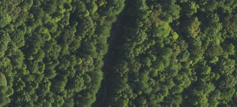 Secluded 2-Acre Retreat
