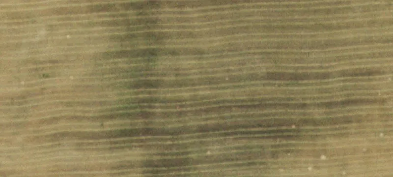 Land with Mountain Views