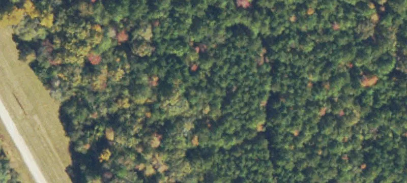 5 Acre Lot in Loganville