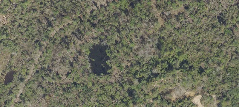 11.6 Acres Private Homesite