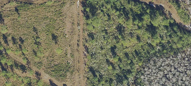Vacant Lot in Orlando