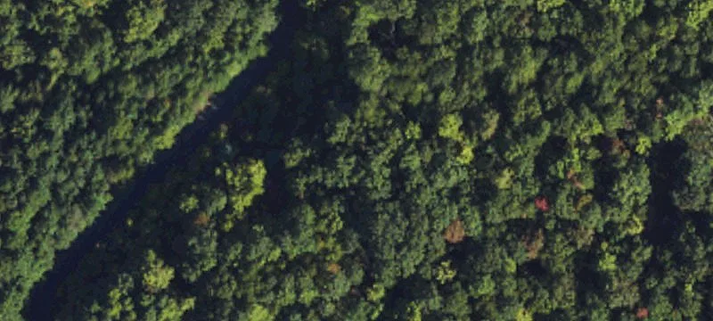 Wooded Land in Gated Community