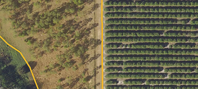 Groveland Homesite in Gated Community