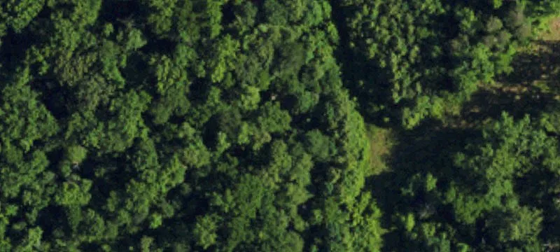 Colfax 5-Acre Residential Land