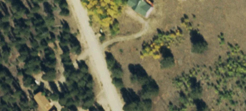 Treed Acre Lot Near Trout River