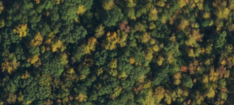 Residential Land Opportunity in Garner