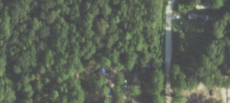 Wooded Land in Growing Area