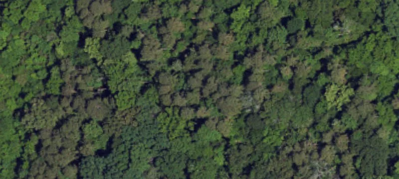 3.5 Acre Residential Land Parcel