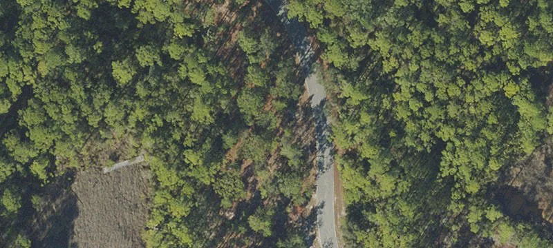 Wooded Lot with Lake View