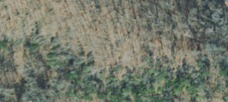 Undeveloped Land Ready for Development