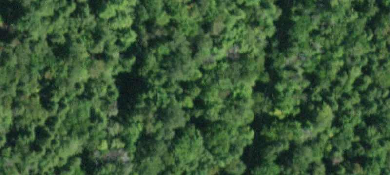 Catskills Land with Build Potential
