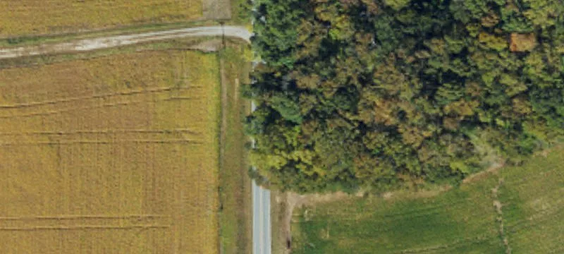 15.1 Acres Wooded Rolling Land