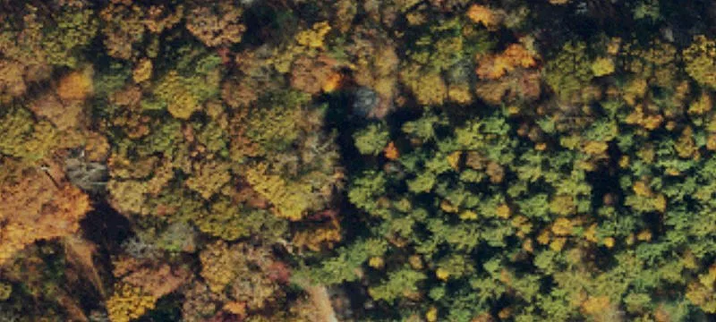 2.4 Acres Wooded Mountain Land