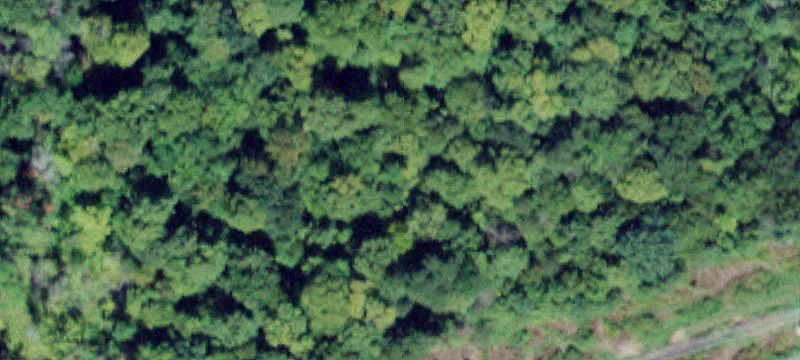 Goshen Landlocked Acreage For Sale