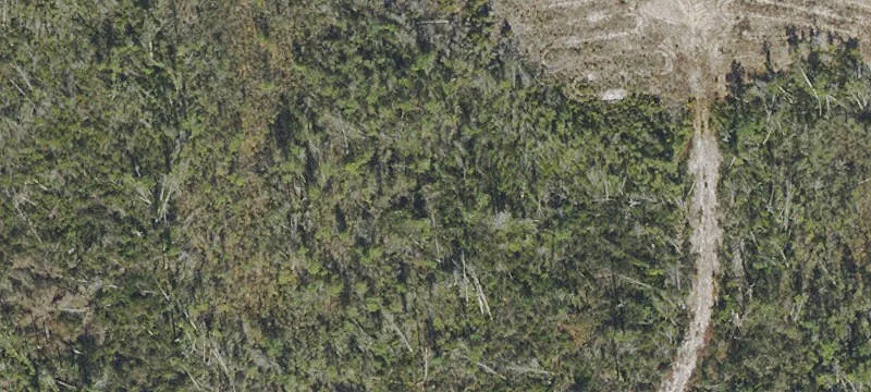 Acreage Near Chipola River