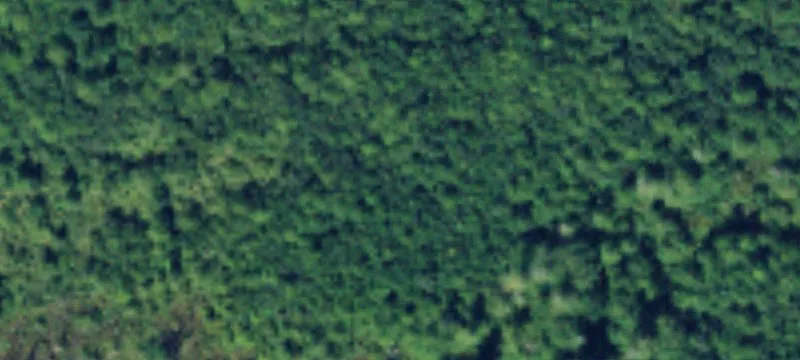 80 Acres Recreational Land Parcel