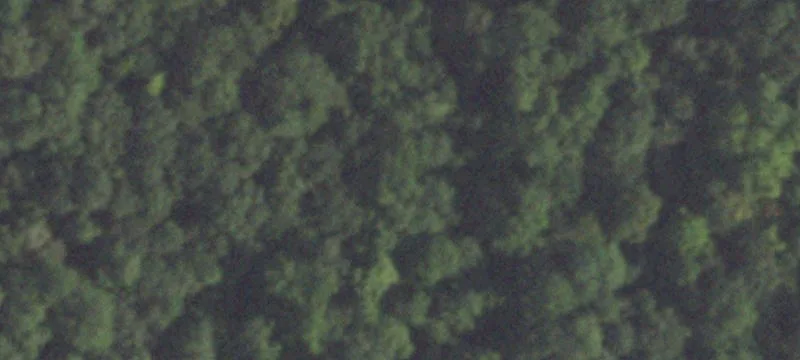 Secluded Land in Glenwood Estates