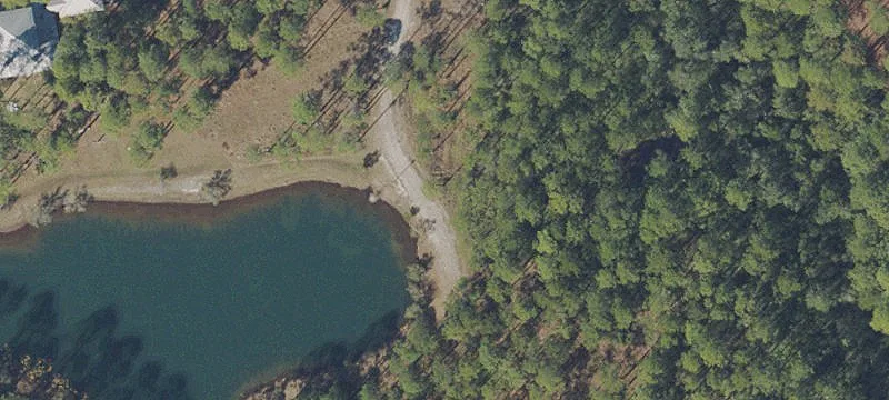 Two-Acre Wooded Lot in RiverCamps