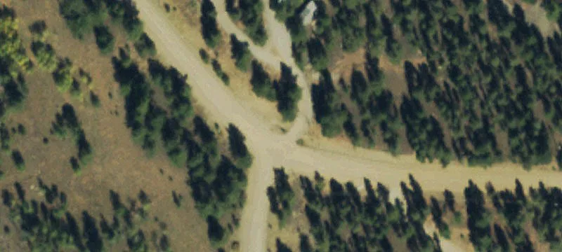 Treed Lot with Mountain Views