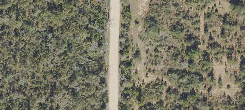 Residential Land in Altha, Florida
