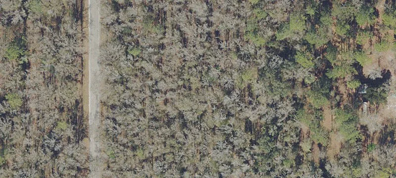 Flagler Estates Land Opportunity