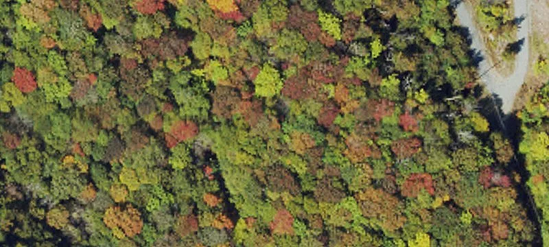 Recreation Land on Beech Mountain