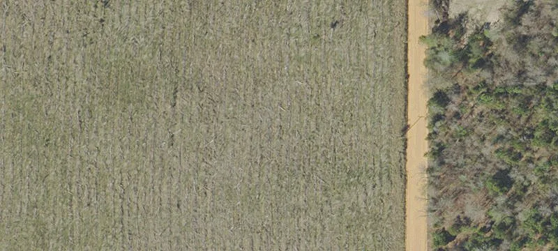 Acreage Near McCormick Lake