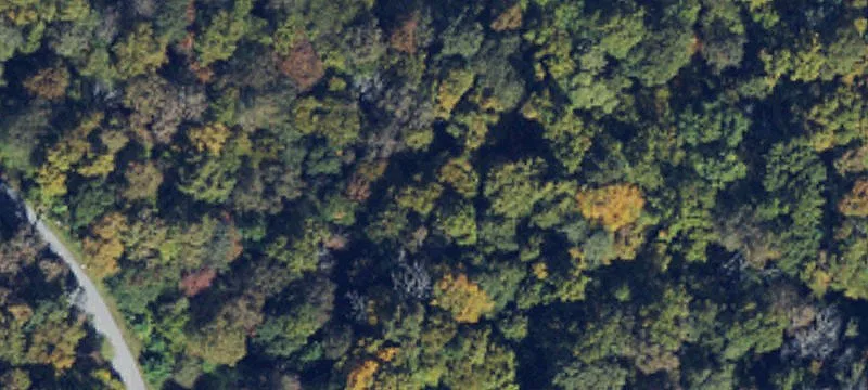 Bear Lake Reserve Land Parcel