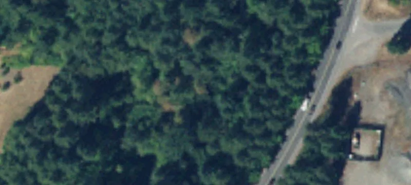 Eatonville Land with Mountain Views