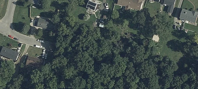 Land in Developing Forest Heights
