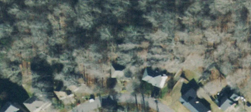Heavily Treed Half-Acre Lot
